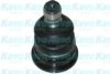 KAVO PARTS SBJ-7501 Ball Joint